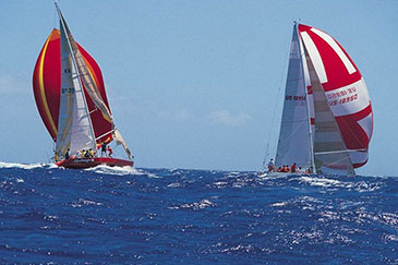 關(guān)于經(jīng)銷商申請(qǐng)的資格要求說明